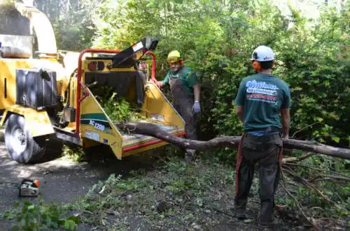 tree services Camp Pendleton North